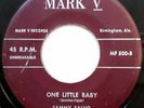 SAMMY SALVO 45 One Little Baby / Lonely Dreamer ROCKABILLY Doo Wop w1168 HEAR IT