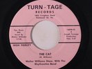 WALTER WILLIAMS SHOW W/ RHYTHMETTES BAND: The Cat / Hootenanny Stomp 45 (sm lab