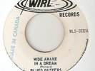 PHILIP JAMES BLUES BUSTERS Wide Awake In A Dream WIRL NORTHERN SOUL 45