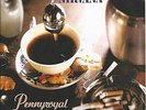 NIRVANA pennyroyal tea 7