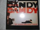 The Jesus and Mary chain 