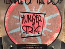 Temple Of The Dog Vinyl Picture Disc 7