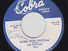 THE CALVAES Born With Rhythm 45 on Cobra rare Chicago R&B doo-wop HEAR