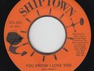 Sweet/Deep Soul 45 - Barbara Stant - You Know - Shiptown - VG++ mp3