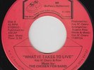 Modern Soul 45 - Chosen Few Band - What It Takes To Live - BR - VG++ mp3 - rare