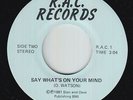 Modern Soul 45 - D. Watson - Say What's On Your Mind - R.A.C. - VG++ mp3 - rare