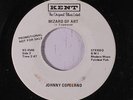 JOHNNY COPELAND: Wizard Of Art / Every Dog's Got His Day 45 (dj) Soul