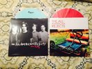 The All American Rejects Vinyl Set Mint Move Along & Self Titled Album OOP NM