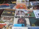 THE BEACH BOYS BRIAN WILSON PET SOUNDS TODAY SMILE BOX 180+ Gram 22 LP Set