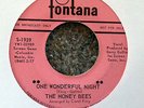 THE HONEY BEES One Wonderful Night/She Don't Deserve You FONTANA 1939 Northern