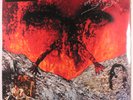 ONLY ONES: Even Serpents Shine LP Sealed (Euro, 180 gram reissue) Rock & Pop