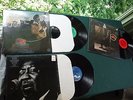 Albert Collins Ice Pickin' I Am The Blues Willie Dixon Muddy Waters LPs VG Blues