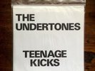 RARE & MINT The Undertones Teenage Kicks limited edition 7