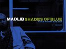 Madlib Shades of Blue Vinyl LP New (2 Discs)