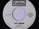 PETER SULLY: Evil Woman / My Idea LP (dj, a/k/a Pete Sully and the Orchard, sta