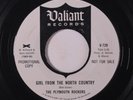 PLYMOUTH ROCKERS: Girl From The North Country / Roll Over... 45 (dj) Rock & Pop