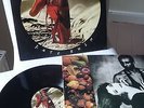 KATE BUSH     Vinyl LP     The Red Shoes (1993)