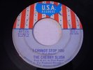 The Cherry Slush I Cannot Stop You 1968 45rpm VG++ PSYCH
