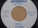 MIFFLIN ENSEMBLE - M.E. Experience - RARE DISCO RAP 45