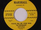 TWILIGHTERS: Please Tell Me You're Mine / Wondering 45 (60s issue)