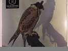 ICEAGE: You're Nothing LP Sealed (w/ MP3 download of the album) Punk/New Wave