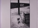 B.J. COLE: The New Hovering Dog LP Sealed Rock & Pop