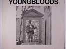 YOUNGBLOODS: Ride The Wind LP (w/ insert) Rock & Pop