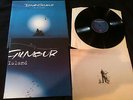 David Gilmour On an Island Dutch Import Vinyl LP & Large Poster