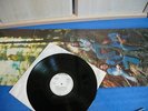 AMERICA ,Homecoming-RARE PROMO,White Label..NM 