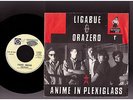 LIGABUE ORAZERO ANIME IN PLEXIGLASS BAR MARIO AUTOGRAFATO LIGABUE ULTRARARO