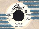 ROCKABILLY 45 Bobby Lonero LITTLE BIT / THE GIRL THAT I MARRY on LIBERTY WLP