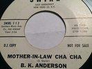RARE TEEN POPCORN PROMO 45/ B.K. ANDERSON 