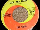 KILLER 1960s Fuzz Garage Rock 45 - THE SHAG 