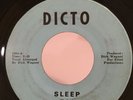Michigan Garage Psych 45 The Sand Sleep on Dicto HEAR