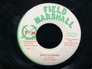 45 FIELD MARSHALL/ WHAT A SHAME STILL COOL Militants/ Biko(78  REGGAE ROOTS  7
