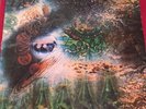 Pink Floyd - A Saucerful Of Secrets