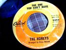 THE HONEYS THE ONE YOU CAN'T HAVE FROM JIMMY WITH TEARS 45 CAPITOL BRIAN WILSON