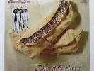 Rare original THE FLYING BURRITO BROTHERS Deluxe LP NM orig GRAM PARSONS