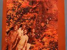 THE WAILING SOULS WILD SUSPENSE VINYL LP 1979 ORIG REGGAE GREAT COND VG++/VG+