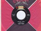THE 4 TEENS - SPARK PLUG / GO LITTLE GO CAT (Rare 1970s ROCKABILLY issue) STROLL