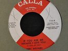 HEAR IT RARE SOUL Jerry Williams Calla PROMO 116 If You Ask Me