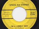 THE SECRETS I'm A Lonely Boy RARE UNKNOWN GARAGE 45 *LISTEN*