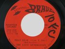  Indiana Garage 45 THE LAST GENERATION What Else on Extremely Brave