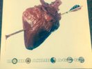 The Wildhearts - Mondo Akimbo A Go-Go (UK 12