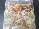 SPYRO GYRA 