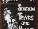 Fela Kuti & Afrika 70 Sorrow Tears & Blood RSD 2013 Vinyl Record LP