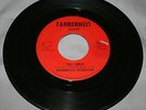 Rare Garage/ Phorenbach Delegation/Fahrenheit records/'68 Chicago Fuzz/*LISTEN*