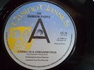 THE RAINBOW PEOPLE .. LIVING IN A DREAMWORLD . NORTHERN SOUL CASINO CLASSIC CC14