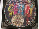The Beatles Sgt. Peppers Lonely Hearts Club Band Picture Disc Color LP 12