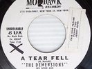 DEMENSIONS A Tear Fell  Theresa WHITE LABEL PROMO white doowop 45 on MOHAWK w240